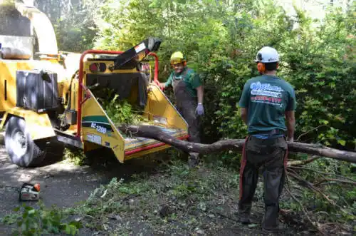 tree services Riceboro